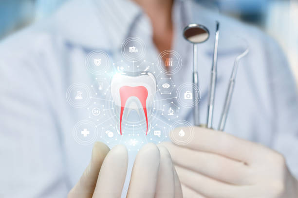 Best Preventive Dentistry  in Moore Haven, FL